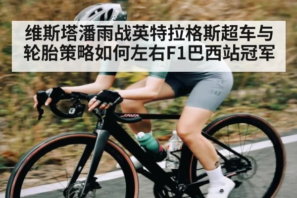 维斯塔潘雨战英特拉格斯超车与轮胎策略如何左右F1巴西站冠军