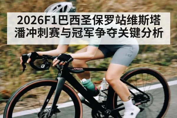 2026F1巴西圣保罗站维斯塔潘冲刺赛与冠军争夺关键分析
