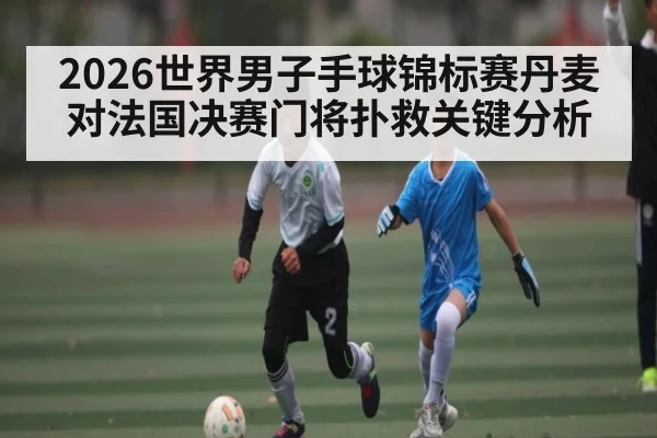2026世界男子手球锦标赛丹麦对法国决赛门将扑救关键分析